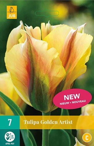 Tulp golden artist 7 bollen - afbeelding 1