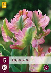 Tulp Green Wave 5 bollen - afbeelding 3