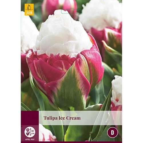 Tulp Ice Cream 5 bollen - afbeelding 1