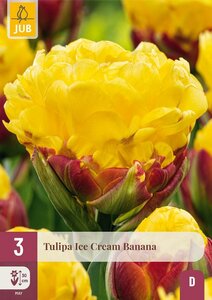 Tulp ice cream banana 3 bollen