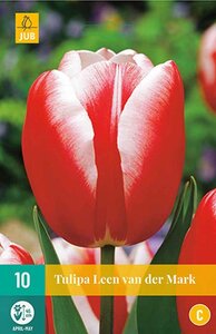 Tulp leen van der mark 10 bollen - afbeelding 2