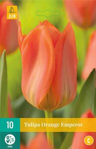 Tulp orange emperor 10 bollen - afbeelding 2