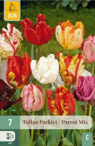 Tulp parkiet mix 7 bollen