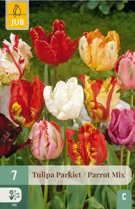 Tulp parkiet mix 7 bollen