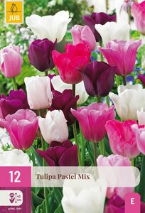 Tulp pastel mix 12 bollen