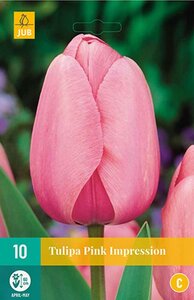 Tulp pink Impression 10 bollen - afbeelding 1