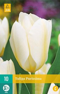 Tulp Purissima 10 bollen - afbeelding 1