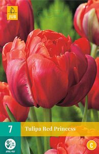 Tulp Red Princess 7 bollen