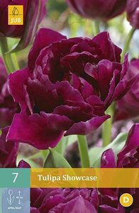 Tulp showcase 7 bollen