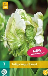 Tulp super parrot 7 bollen - afbeelding 1