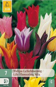 Tulpen leliebloemig mix 7 bollen