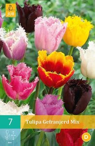 Tulpenbollen gefranjerd mix 7 bollen