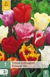 Tulpenbollen gefranjerd mix 7 bollen
