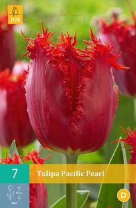 Tulp Pacific pearl 7 bollen - afbeelding 2