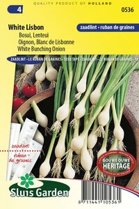 Ui White Lisbon zaailint hier online te bestellen