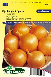 Uien Rijnsburger 5 Oporto, snel besteld, snel in huis