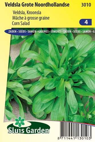 Veldsla zaden Grote Noordhollandse