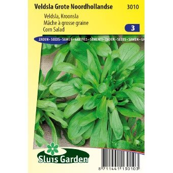 Veldsla zaden Grote Noordhollandse