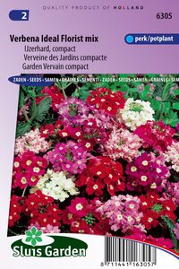 Bestel hier Verbena zaden Ideal Florist Mix ijzerhard