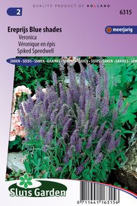 Bestel hier Veronica Spicata zaden Blue Shades ereprijs
