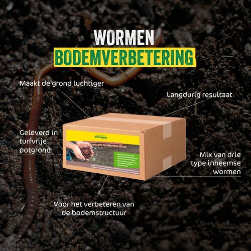 Ecostyle verse wormenmix compostering 1 kg - afbeelding 2