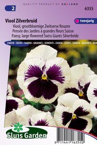 Viola Wittrockiana zaden Zilverbruid viooltje