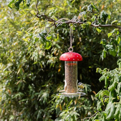 Voedersilo vliegenzwam - afbeelding 2