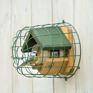 Beschermkooi Dublin voor pindakaaspot - afbeelding 2