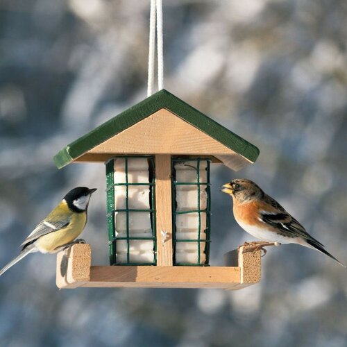Vogelbescherming vetblokhouder pasadena - afbeelding 2