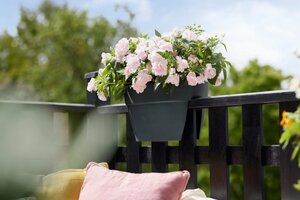 Elho vibia campana flower bridge 60 anthracite - afbeelding 4