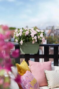 Elho vibia campana flower bridge 60 pistachegroen - afbeelding 4
