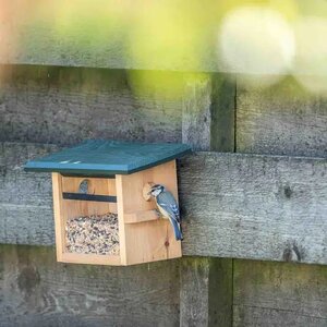 Wandvoederhuis tilburg - afbeelding 3
