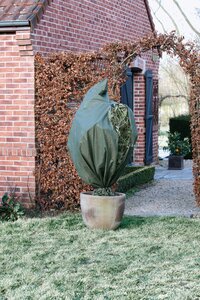 Winterafdekhoes met rits H 200 cm D 150 cm groen - afbeelding 2