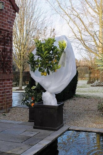 Winterafdekvlies 2 x 5 meter 30 g/m² wit - afbeelding 2