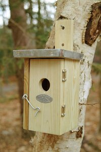 Esschert desgin winterkoning nest kast - afbeelding 1
