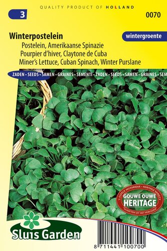 Winterpostelein zaden