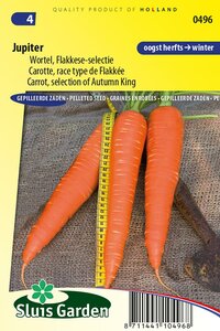 Wortel zaden Jupiter (Flakkese) Pillen