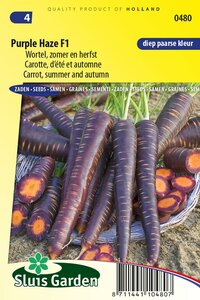 Wortel zaden Purple Haze F1 online snel te bestellen