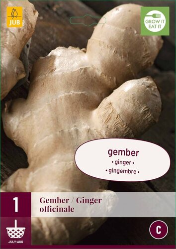 Zingiber officinale gember