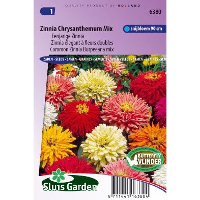 Zinnia Elegans zaden Chrysanthemum mix