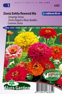 Zinnia Elegans zaden Dahlia bloemig reuzen mix