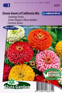 Zinnia Elegans zaden Giants of California mix